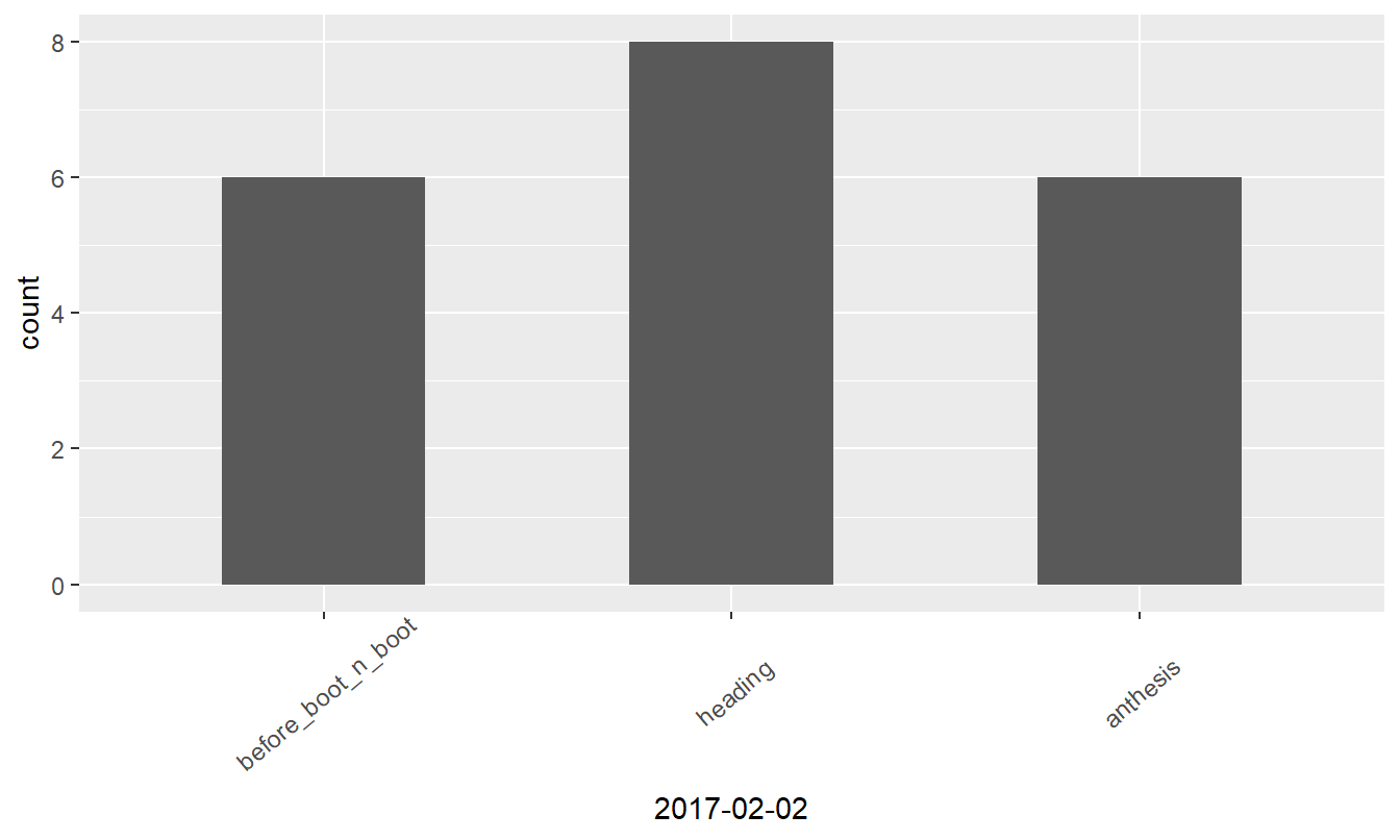 Growth stages at different dates