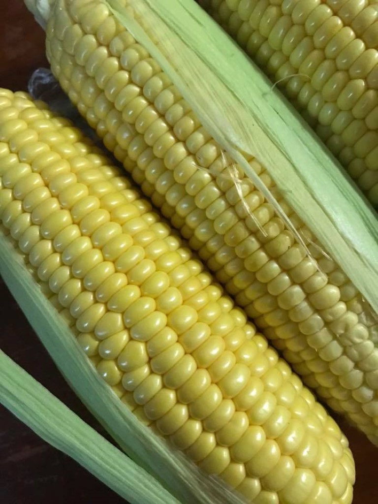 Dehusked table purpose sweet corn; Image credit: Dipa Ghimire